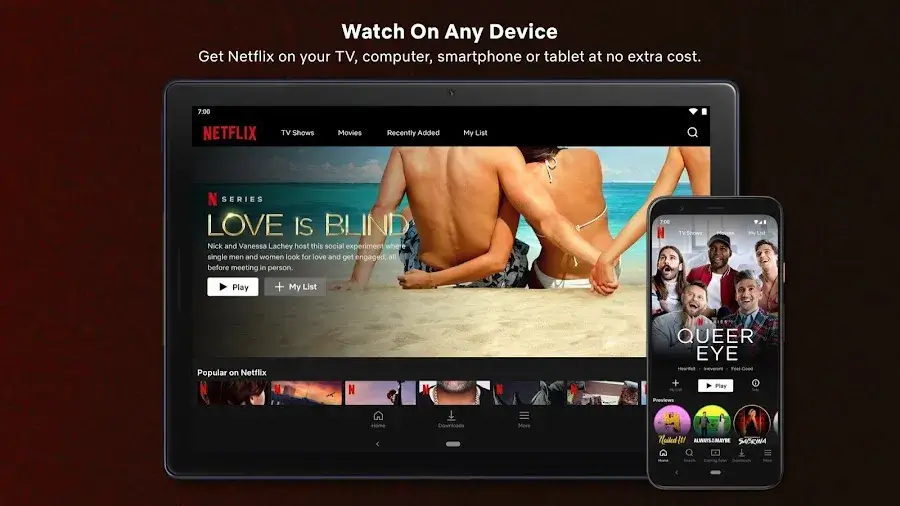 Netflix Premium MOD APK Download