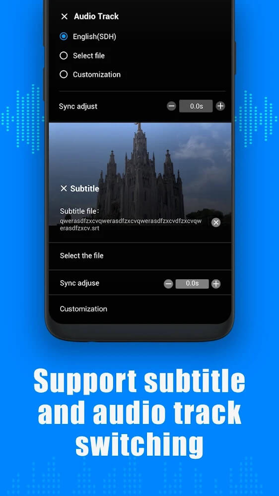 ADV Player-Multi format player